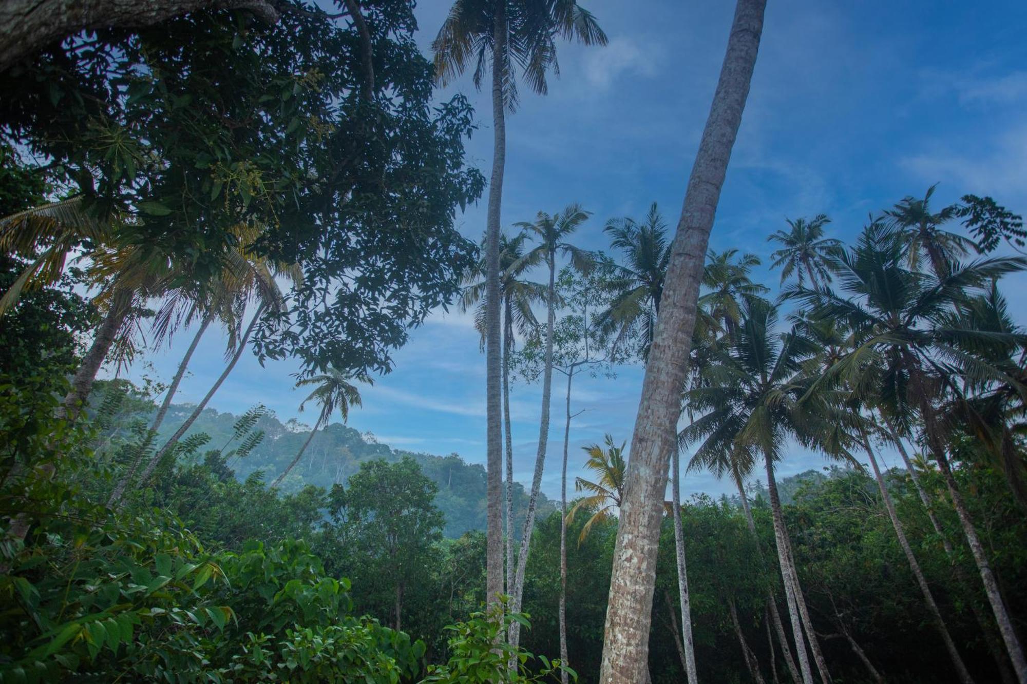 D2 Unawatuna